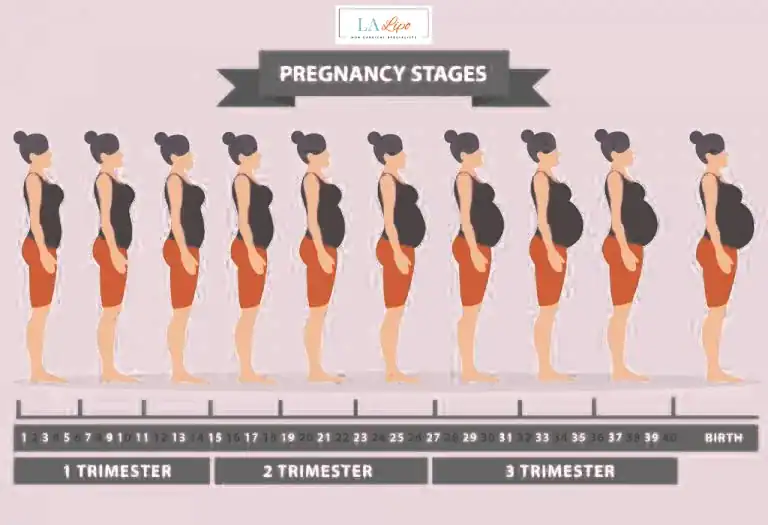 First Trimester (Weeks 1–12): Early Changes You Might Not Notice Hemel Hempstead